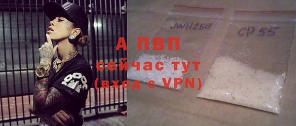 спайс Тавда